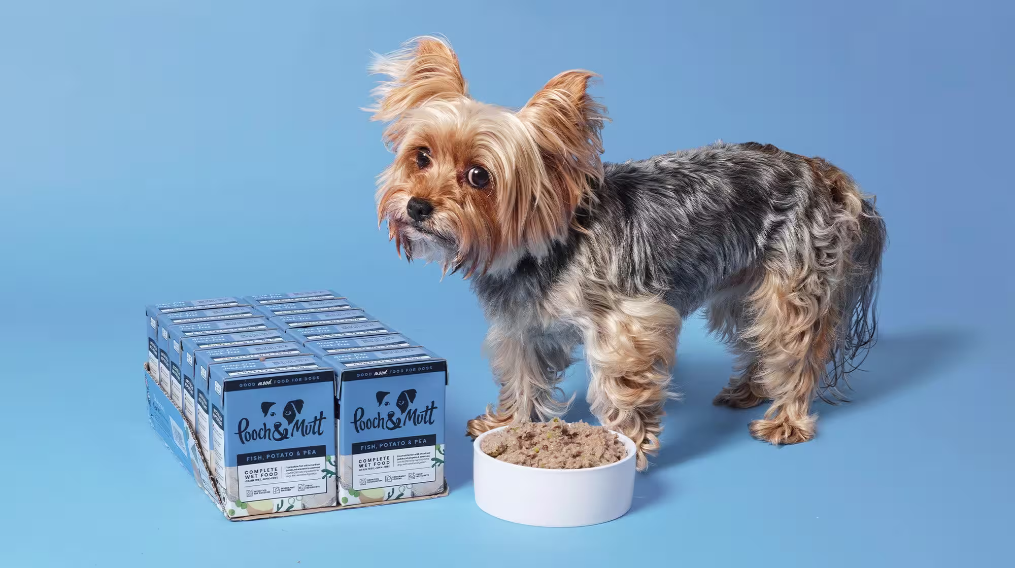 Chicken allergies in dogs: Everything you need to know-Image 4
