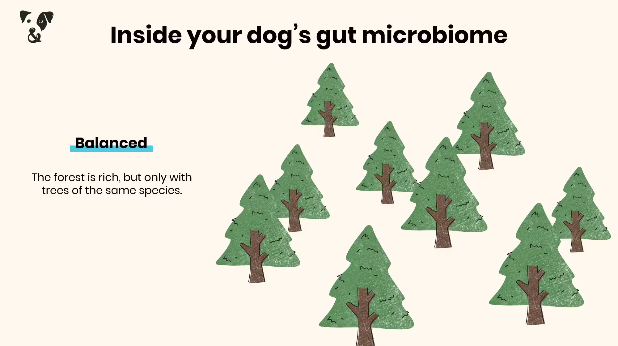 Your dog’s gut health: What is a microbiome?-Image 3