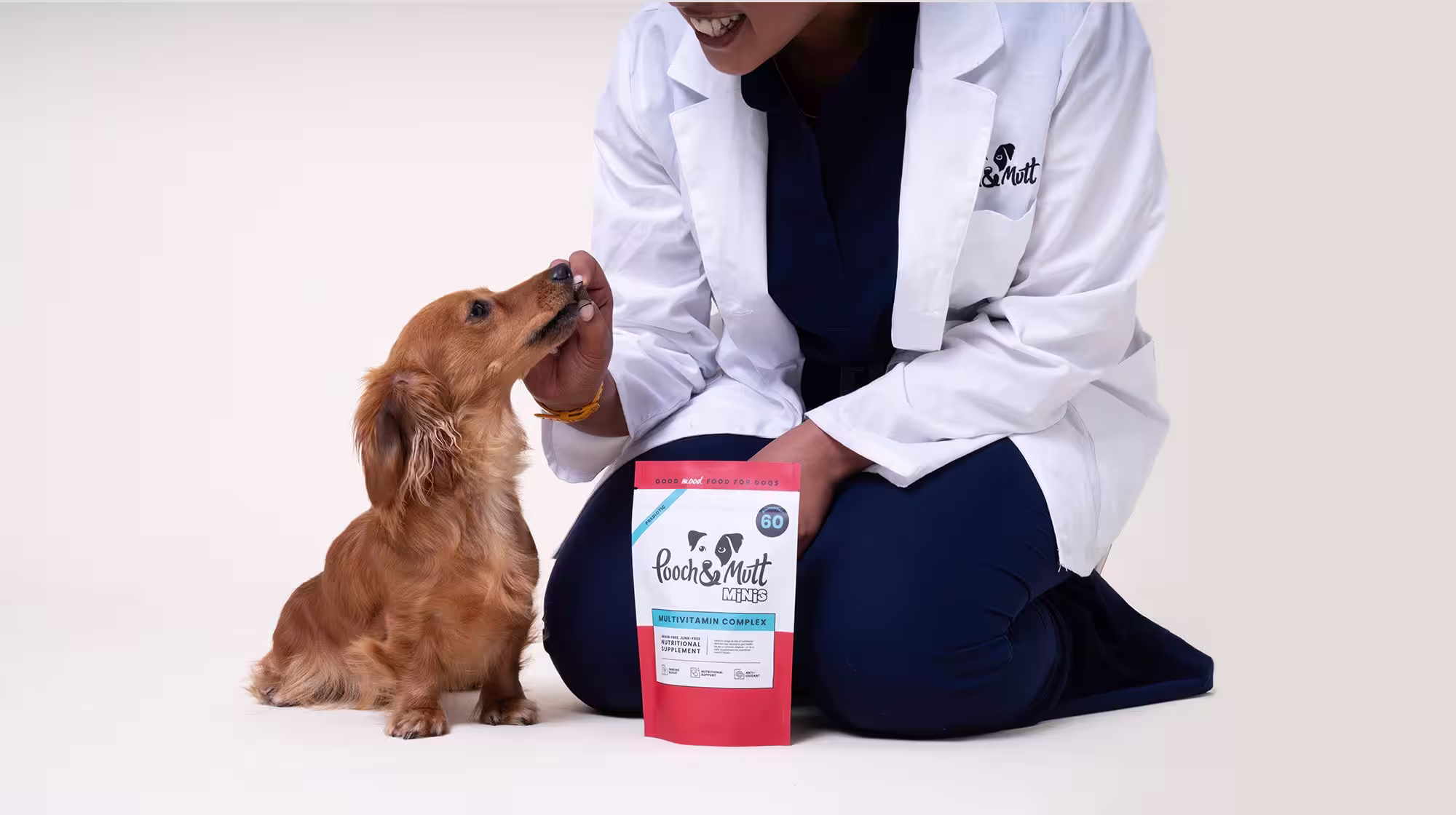 Vet Explains: Why and how should we be exploring our dog's gut health?-Image 2