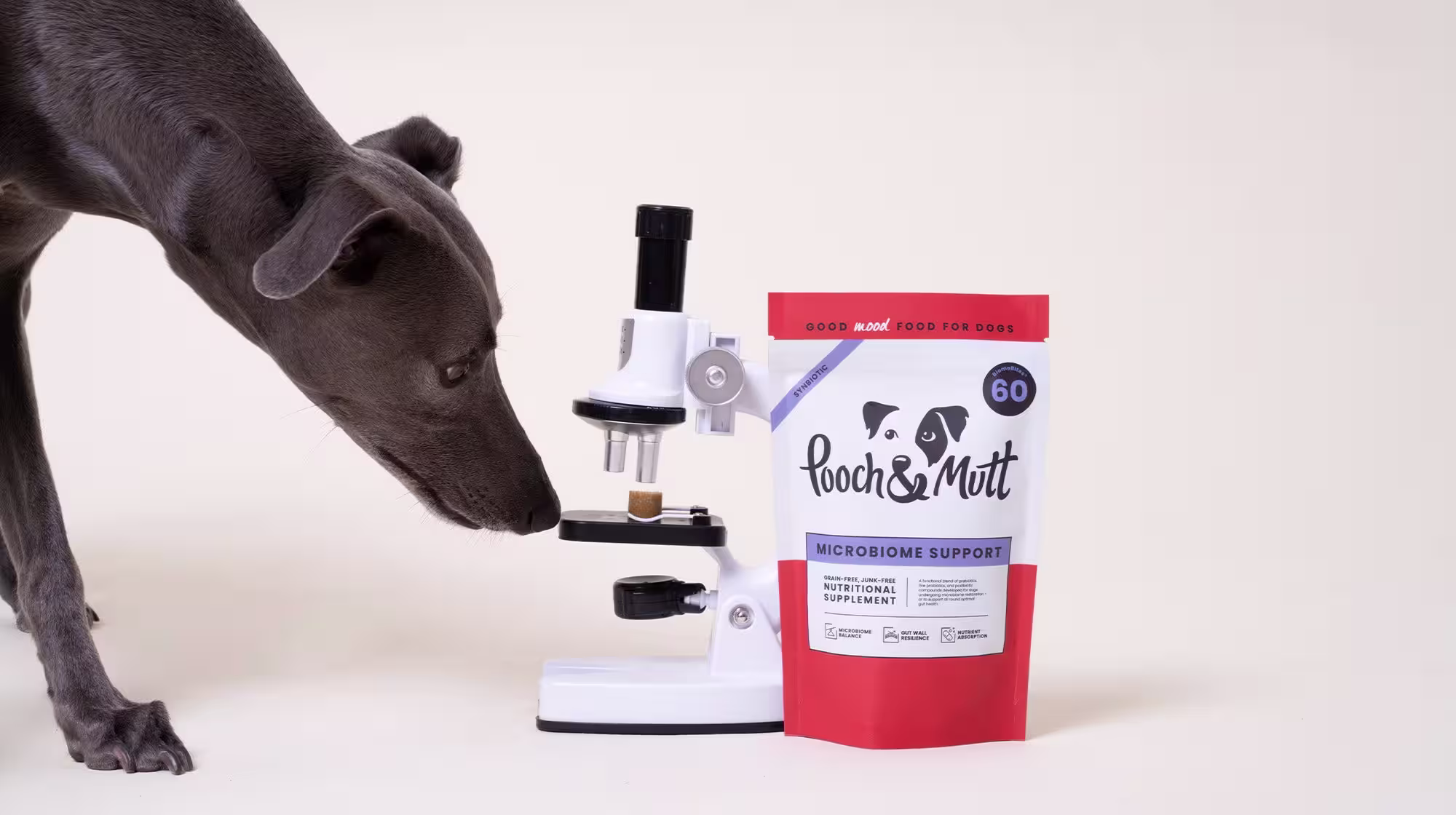 Your dog’s gut health: What is a microbiome?-Image 1