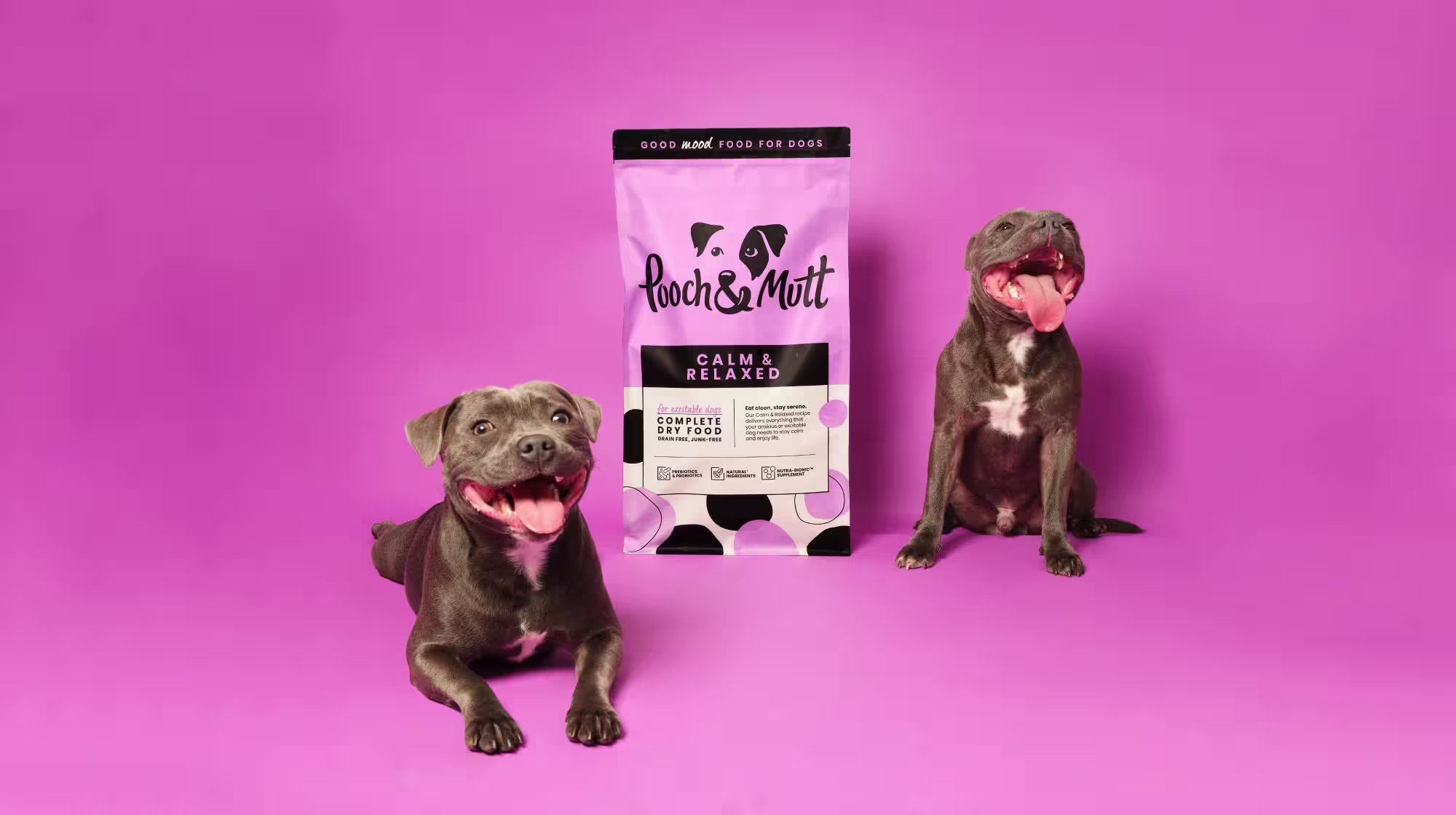 two staffordshire bull terriers with anxiety food