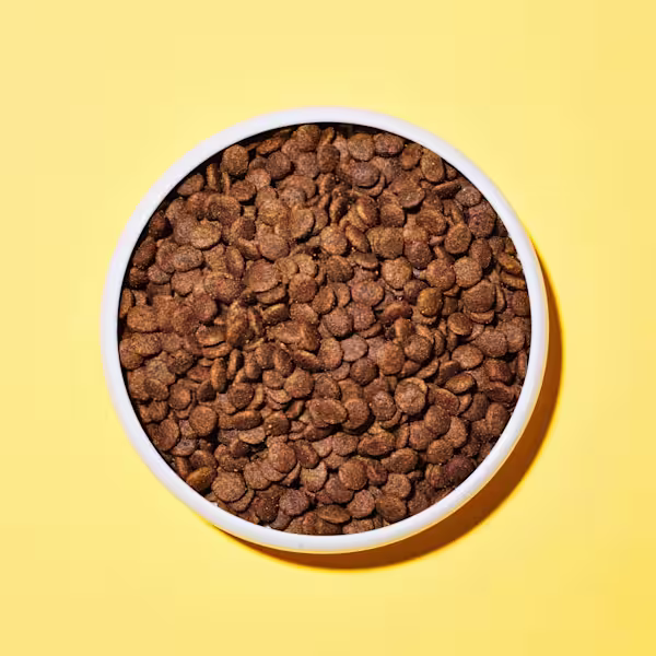 Salmon & Herring Dry Cat Food