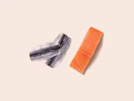 Herring & Salmon