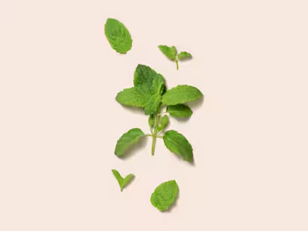 Mint