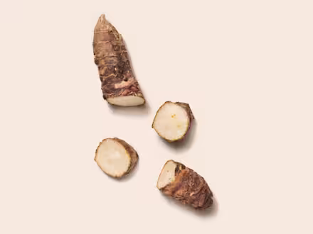 Artichoke Root