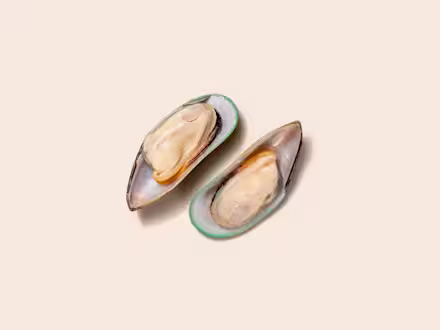 Green-Lipped Mussel