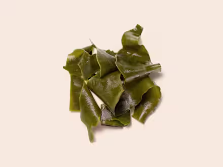 Algae