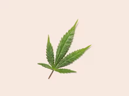 Hemp
