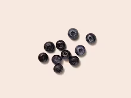 Arctic Blueberry