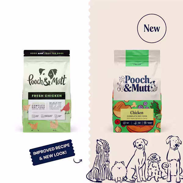 Chicken Complete Dry Dog Food