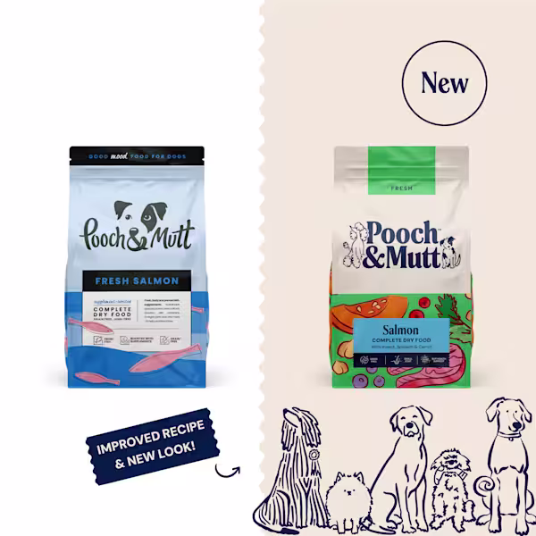 Salmon Complete Dry Dog Food with Insect