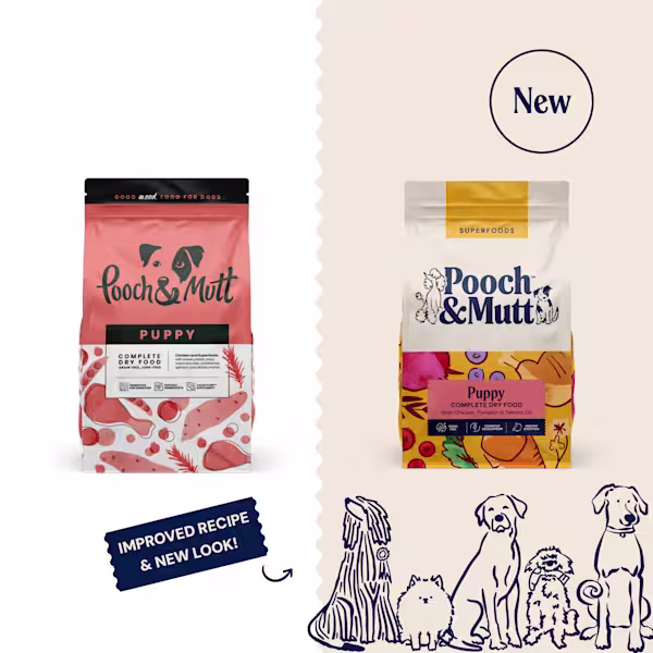 Puppy Complete Dry Superfood