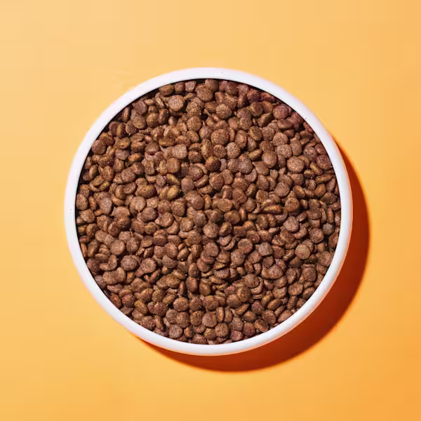 Duck & Turkey Dry Cat Food