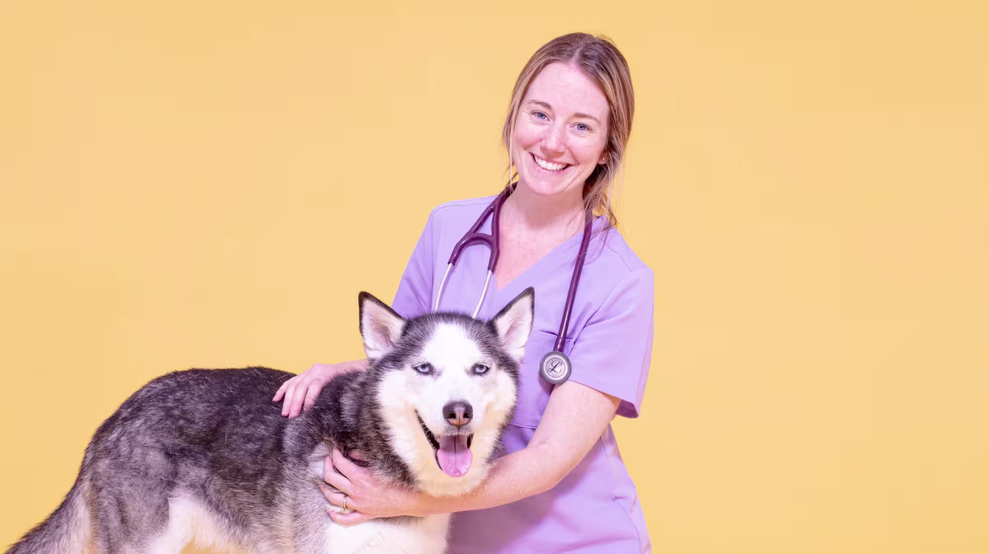 Everything you need to know about hydrolysed dog food-Image 1