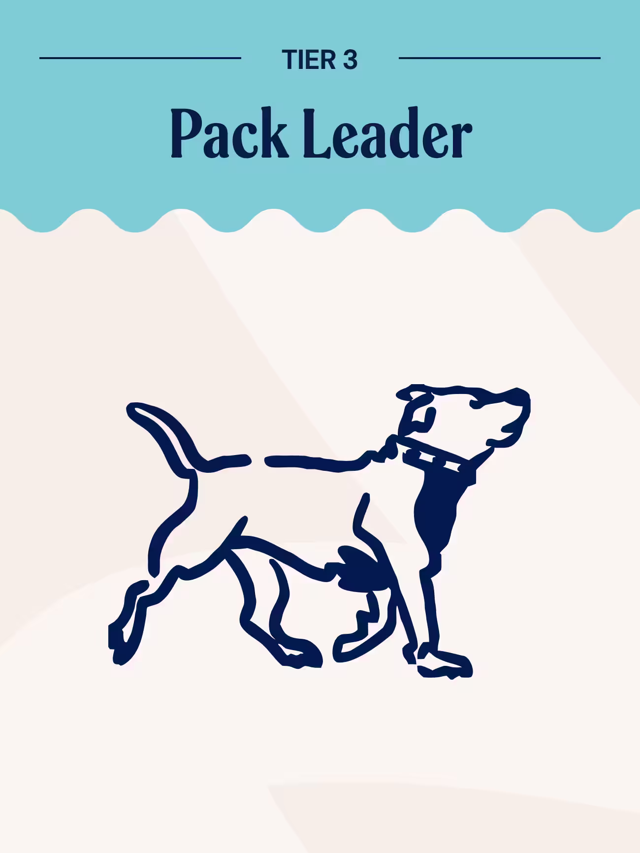 Dog illustration